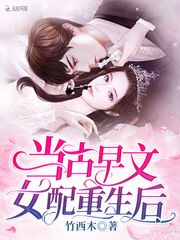 从小镇科员到权力巅峰