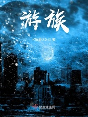 权力巅峰：SSSS级村书记！