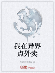 代码神域：风琛的黑客传奇