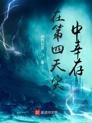 美利坚：从街头流浪汉开始肝技能