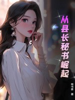 从县长秘书崛起